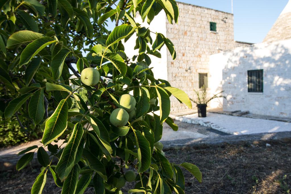 Maison Milleottocento Villa Cisternino Exterior photo